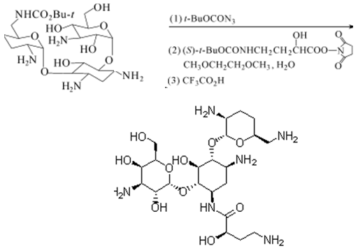 Arbekacin can be prepared by 6-N-Boc-3, 4 -didanosine kanamycin B. 